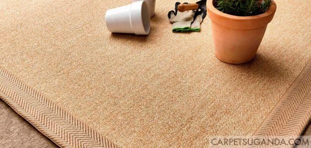 Sisal Carpets