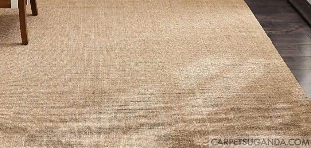 Sisal Rugs